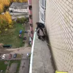 Гидроизоляция балконов